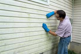 Best Fiber Cement Siding Installation  in Spring Hill, FL